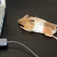 Illustration for article titled Peter Molyneux: Natal Could Change Interaction Like The Mouse